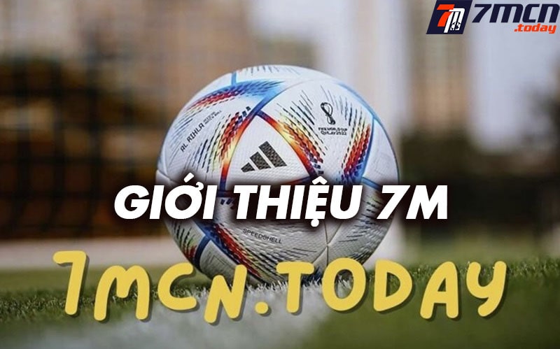Giới thiệu botluasilky.com
